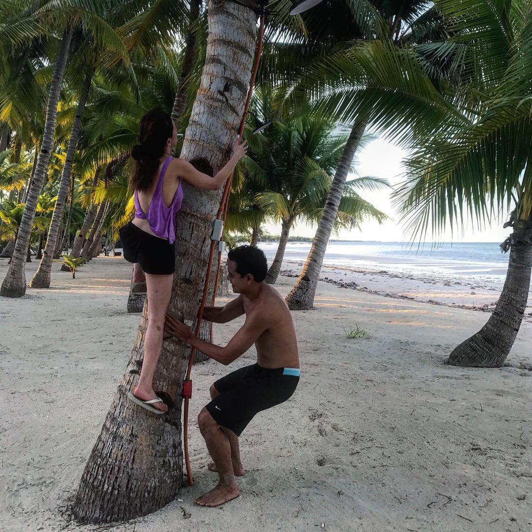 Ellen Adarna and John Lloyd Cruz climbing coconut tree